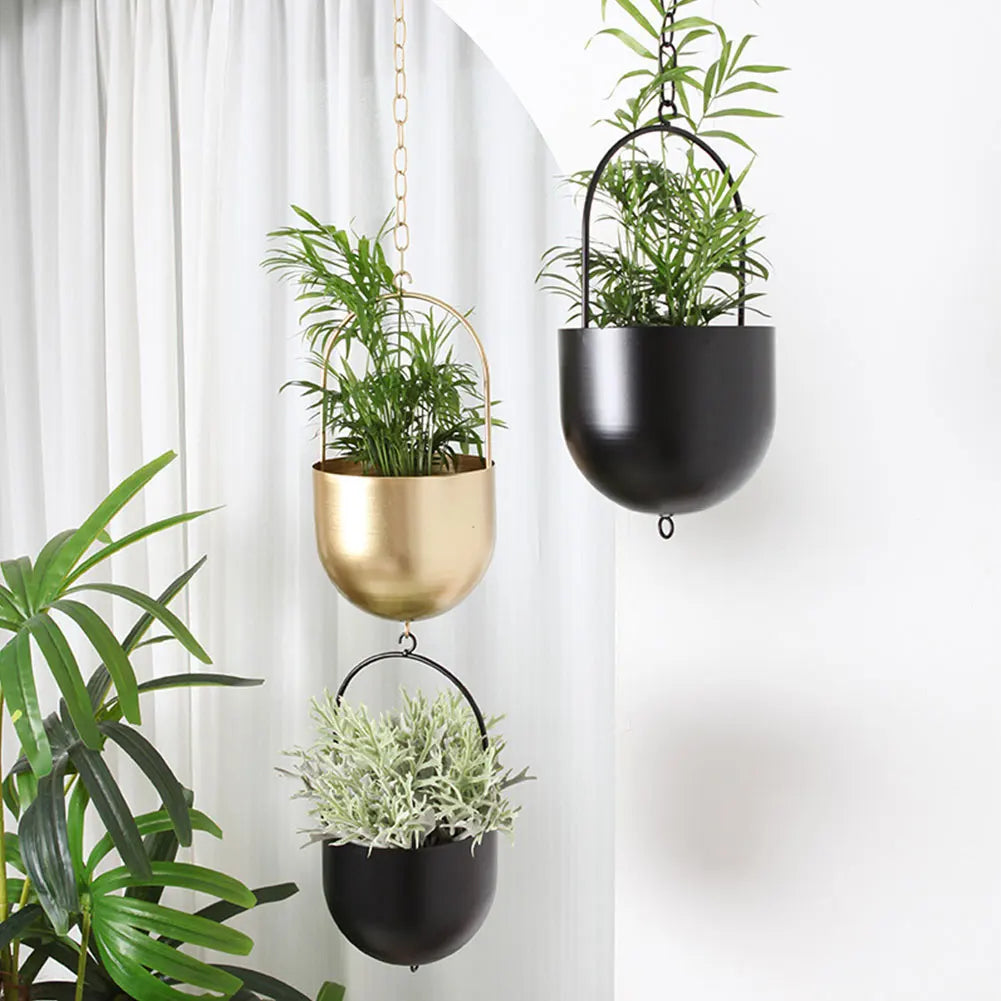 Transform Walls into Lush, Living Art